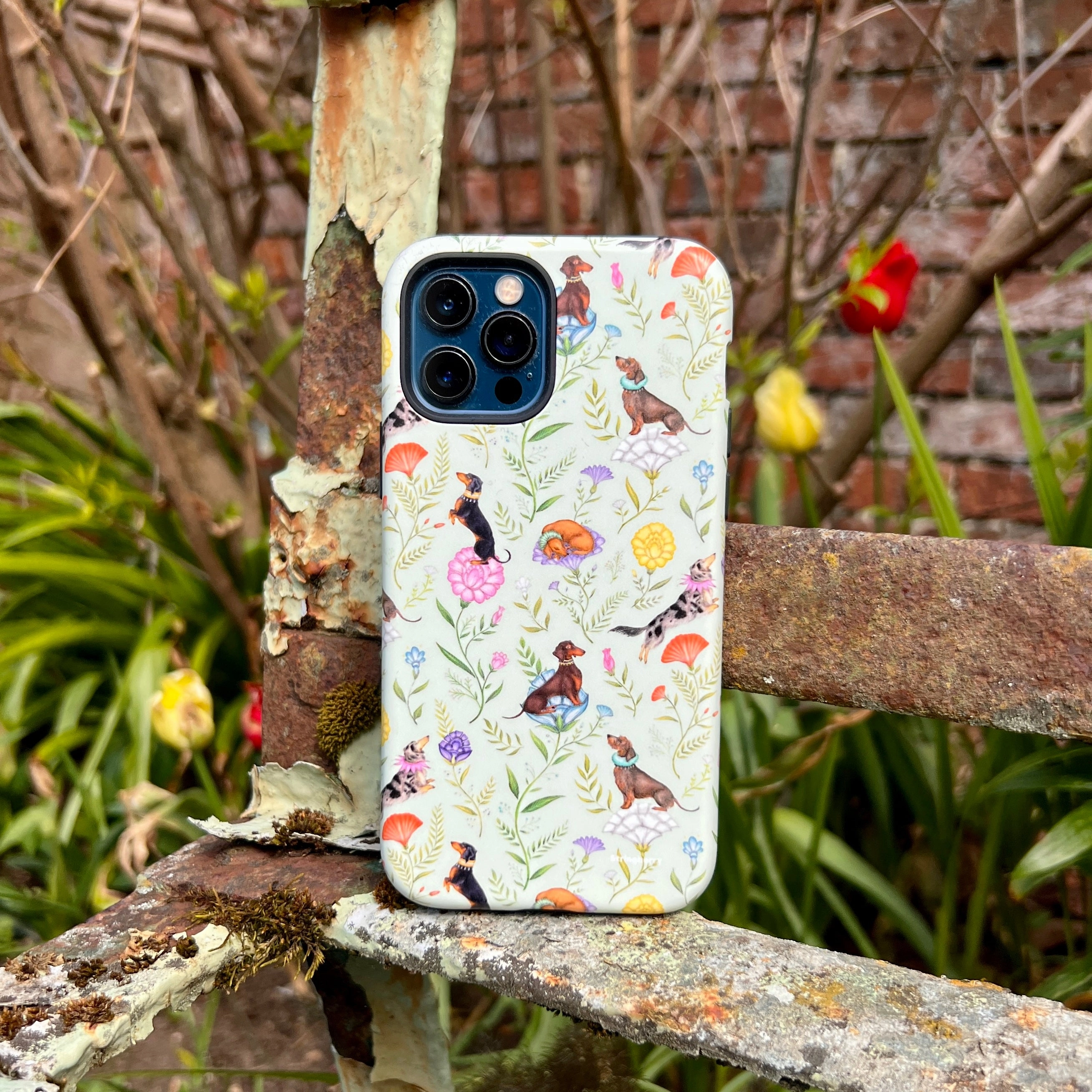 iPhone Tough Case - Doxy Day Afternoon Pistachio By Catherine Rowe Ergonomic Texture