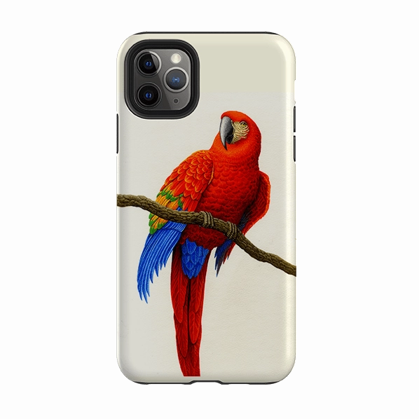 Smooth Feel Surface Slim Look iPhone Tough Case - Scarlet Macaw By Philip Hood