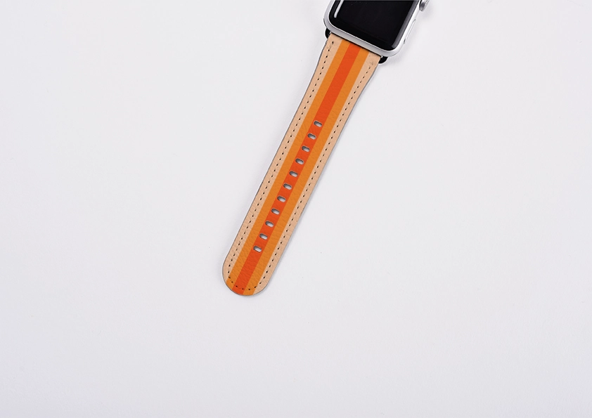 Sturdy Material Apple Watch Strap- London Chroma Stripe