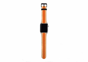 Apple Watch Strap- London Chroma Stripe Fashion Accessory